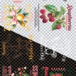 Pliego Frutas 02